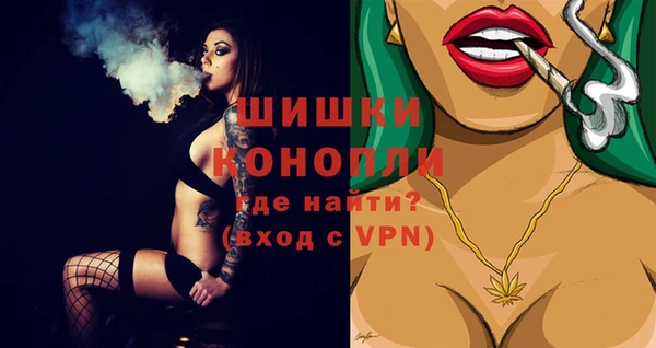 стафф Бронницы
