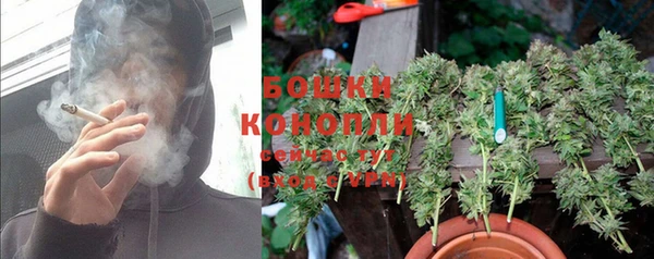 стаф Бугульма