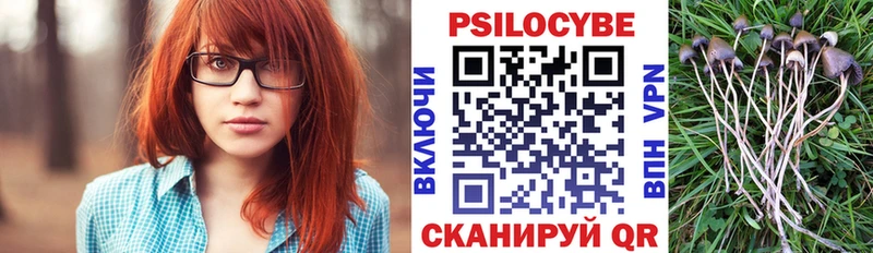 Псилоцибиновые грибы мухоморы  Купить закладки  Кудымкар 
